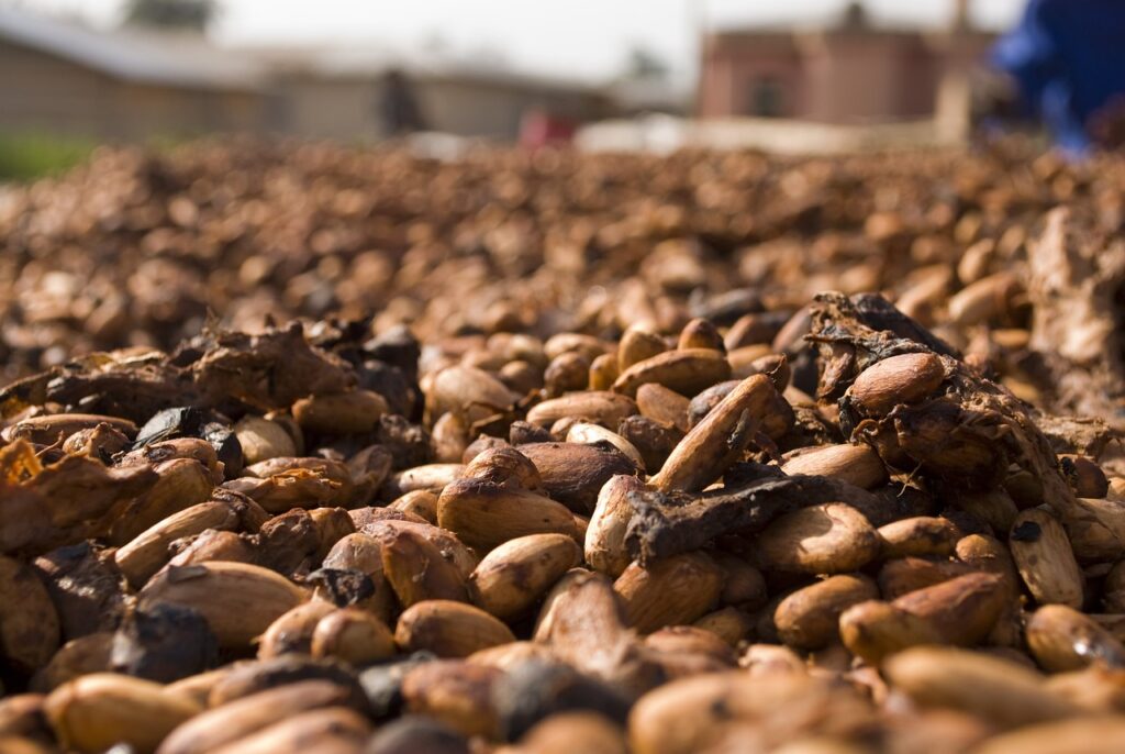 Cocoa Price Selloff Accelerates as Global Supply Prospects Improve