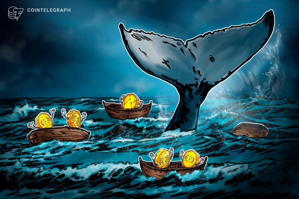Do Bitcoin Whales Really Control Market Ups and Downs?