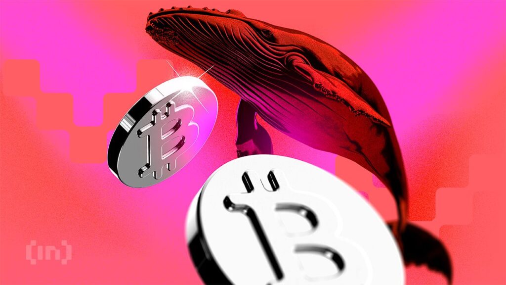 Bitcoin Whale Wallets Surge to Four-Month High as Retail Investors Exit