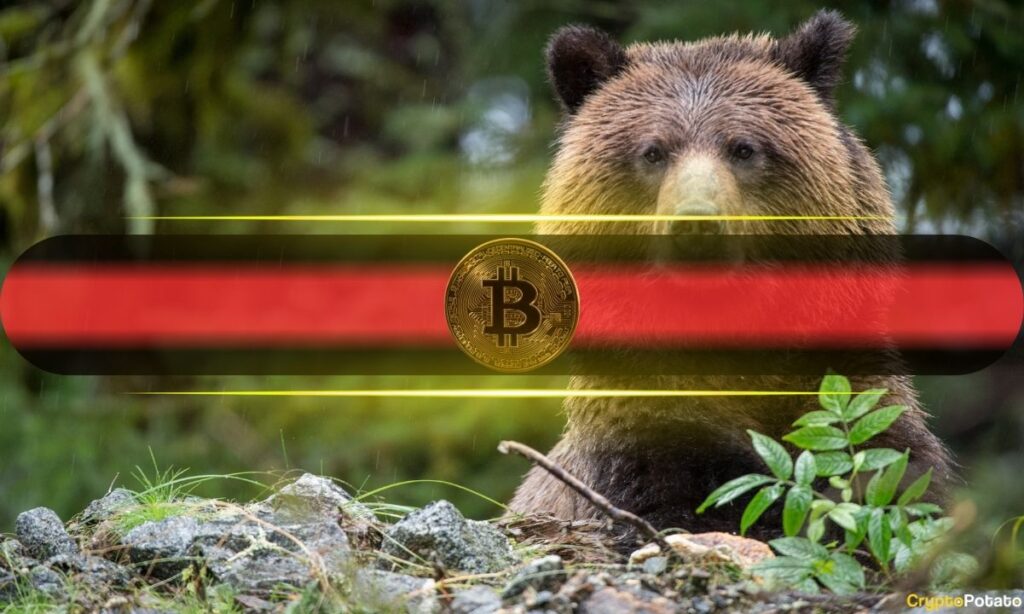 Bitcoin's Key Resistance Stall Could Send it Tumbling Much Lower: Analysts
