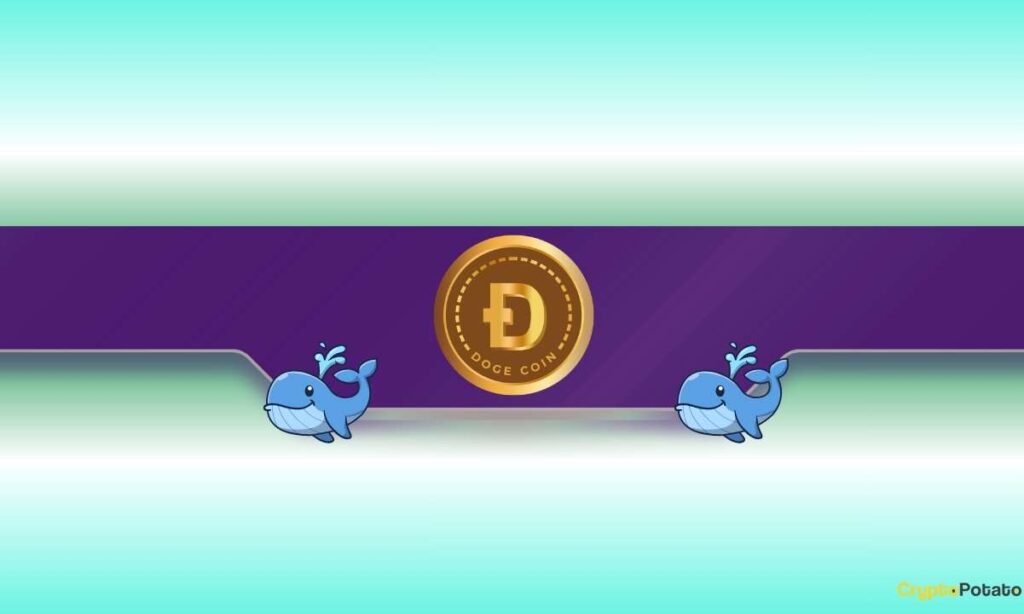 DOGE Price Dumps to Monthly Lows but Dogecoin Whales Load Up DOGE Price Dumps to Monthly Lows but Dogecoin Whales Load Up