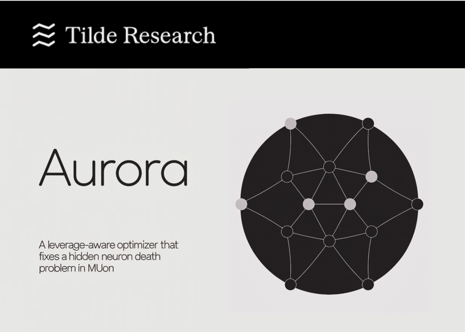 Tilde Research Introduces Aurora: A Leverage-Aware Optimizer That Fixes a Hidden Neuron Death Problem in Muon