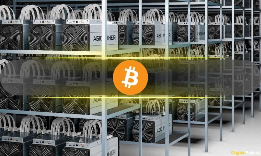 Mining Profits Dry Up Across Bitcoin, DOGE, LTC, and BCH