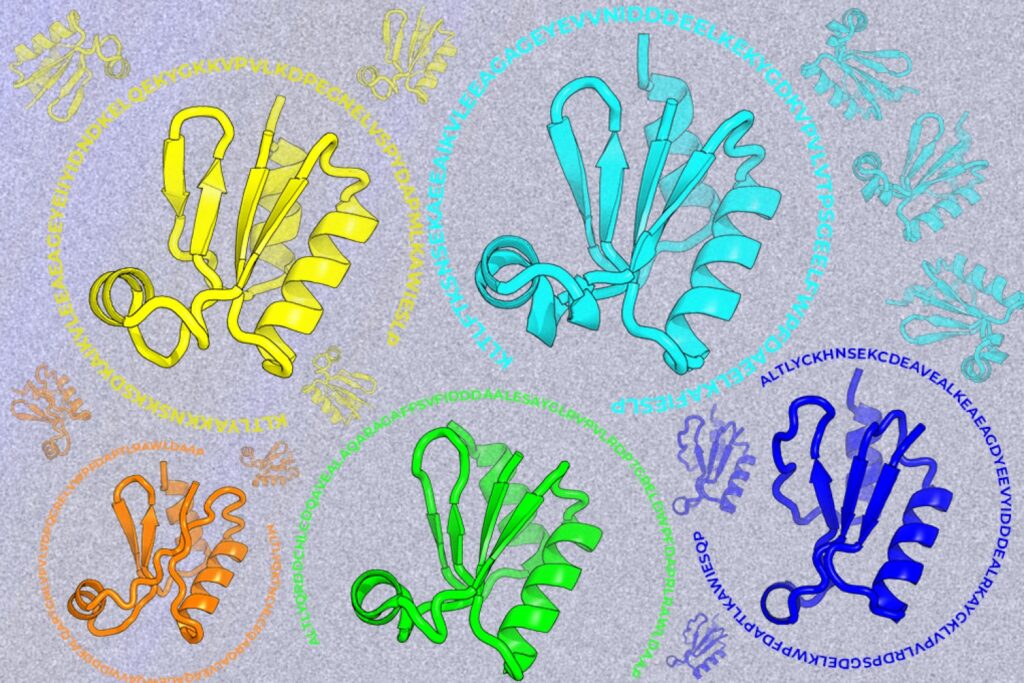 Looking beyond natural sequences | MIT News Looking beyond natural sequences | MIT News
